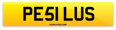 PE51 LUS