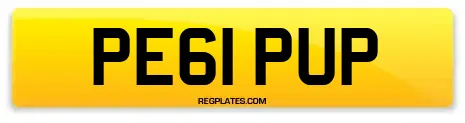 PE61 PUP