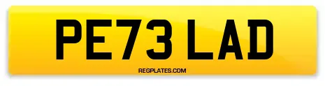 PE73 LAD