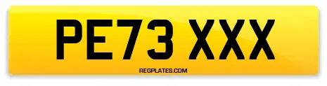 PE73 XXX