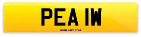 PEA 1W