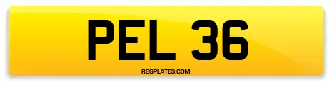 PEL 36