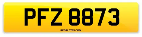 PFZ 8873