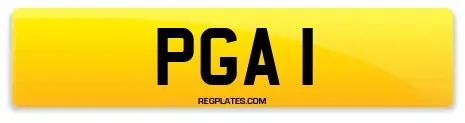 PGA 1