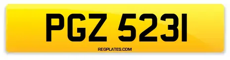 PGZ 5231