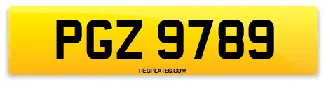 PGZ 9789