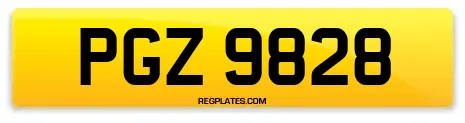 PGZ 9828