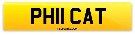 PH11 CAT