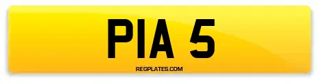 PIA 5