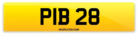 PIB 28