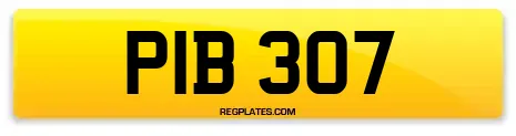 PIB 307