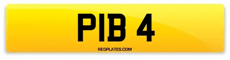 PIB 4