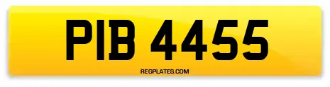 PIB 4455