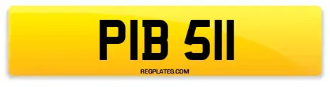 PIB 511
