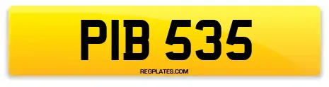 PIB 535