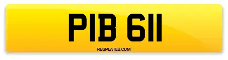 PIB 611