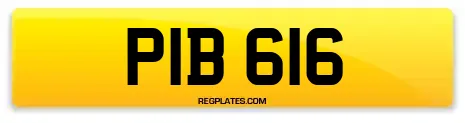 PIB 616