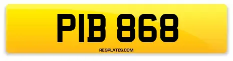 PIB 868