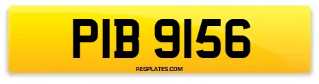 PIB 9156