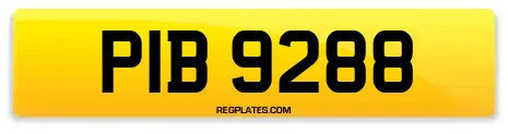 PIB 9288
