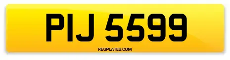 PIJ 5599