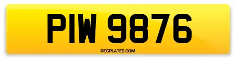 PIW 9876