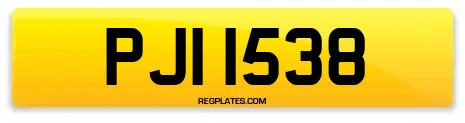 PJI 1538