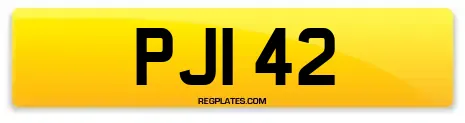 PJI 42