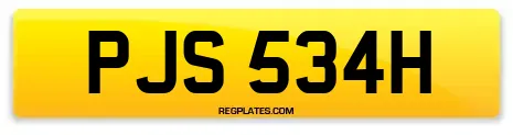 PJS 534H