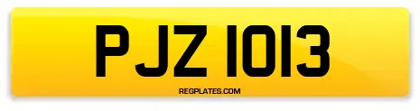PJZ 1013