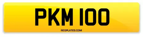 PKM 100
