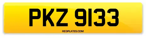 PKZ 9133