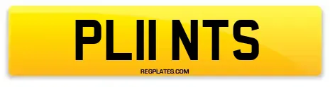 PL11 NTS