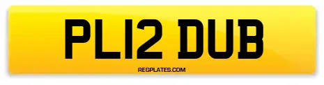 PL12 DUB