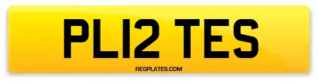 PL12 TES