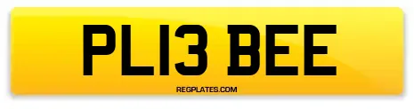 PL13 BEE