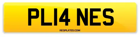 PL14 NES