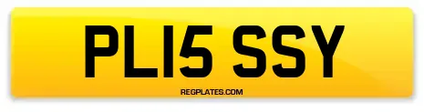 PL15 SSY