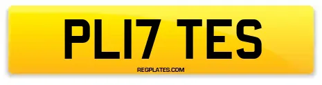 PL17 TES
