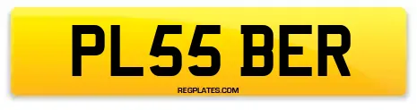 PL55 BER