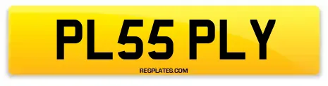 PL55 PLY