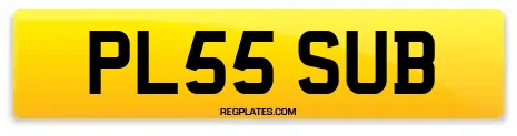 PL55 SUB