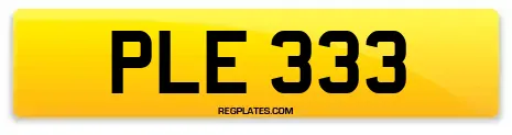 PLE 333