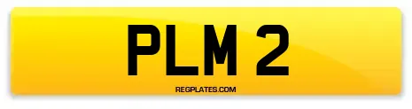 PLM 2