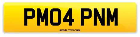 PM04 PNM
