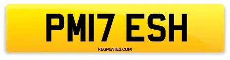 PM17 ESH