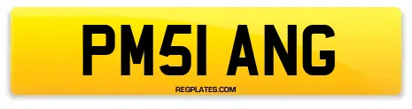 PM51 ANG