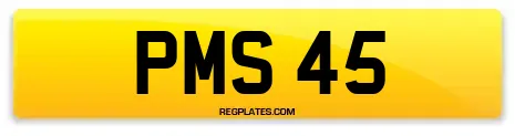 PMS 45