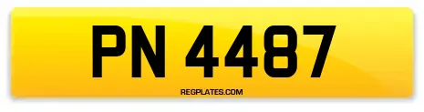 PN 4487
