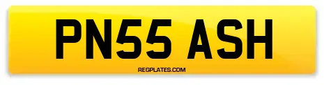 PN55 ASH
